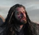 Thorin Oakenshield