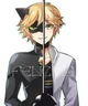 Adrien Chat Noir