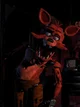 Foxy 1