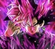 Goku Black
