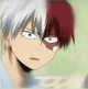 Todoroki