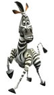 Marty the Zebra