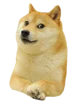 doge