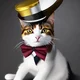 Top hat cat