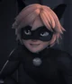 Chat Noir