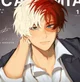 Shoto Todoroki 
