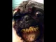 Mr Snickers 