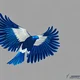 Blue Eagle