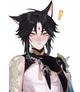 Wolf xiao
