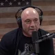 Joe Rogan