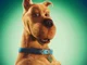 Scooby Doo 