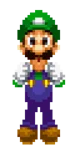 Random luigi