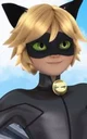 Cat Noir