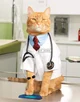 Doctor Cat