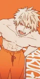 Bakugou katsuki