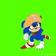 Marcos the hedgehog
