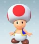 Toad