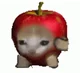 Apple cat