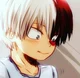 Shouto Todoroki