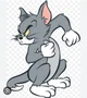 Tom the cat
