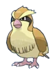 Pidgey
