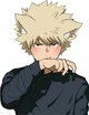 Bakugo gato