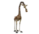 Melman the giraffe 