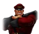 M bison
