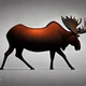 Moose