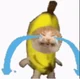Bananacat