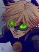 Chat Noir