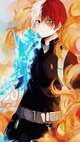 Shoto todoroki 