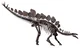 Stegosaurus