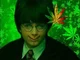 harry pothead