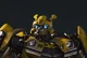 Bumblebee Rotb