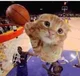 Ballin Cat