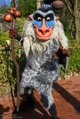 rafiki