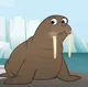Walrus