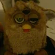 Furby