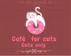 Cafe kucing