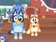 Bluey and bingo 