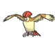 Pidgeotto
