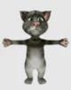 talking tom