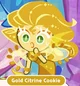 Gold Citrine Cookie