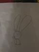 Bunni