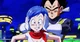 Bulma and vegeta