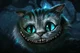 The Cheshire Cat