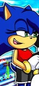Sonica The Hedgehog