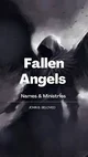 Fallen guide angel
