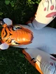 Inflatable wildcats
